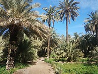 IMG_20260205_113810726