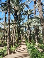 IMG_20260205_114504261