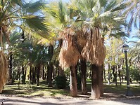 IMG_20260205_123539119