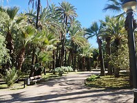 IMG_20260205_123805056