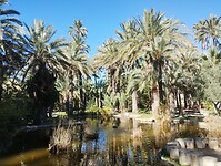 IMG_20260205_123953360