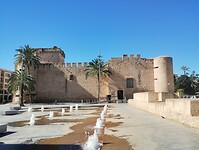 IMG_20260205_130049724