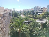 IMG_20260205_133135536