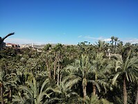 IMG_20260205_133148736