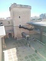 IMG_20260205_133341569