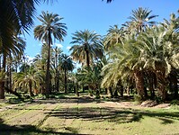 IMG_20260205_142403558_HDR