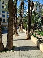 IMG_20260205_143634450_HDR