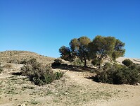 IMG_20260206_104321648