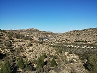 IMG_20260206_105108900