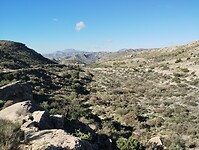 IMG_20260206_112338357