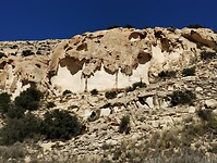 IMG_20260206_123120306