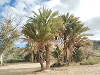 IMG_20260206_133452418