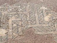 IMG_20260207_115049876