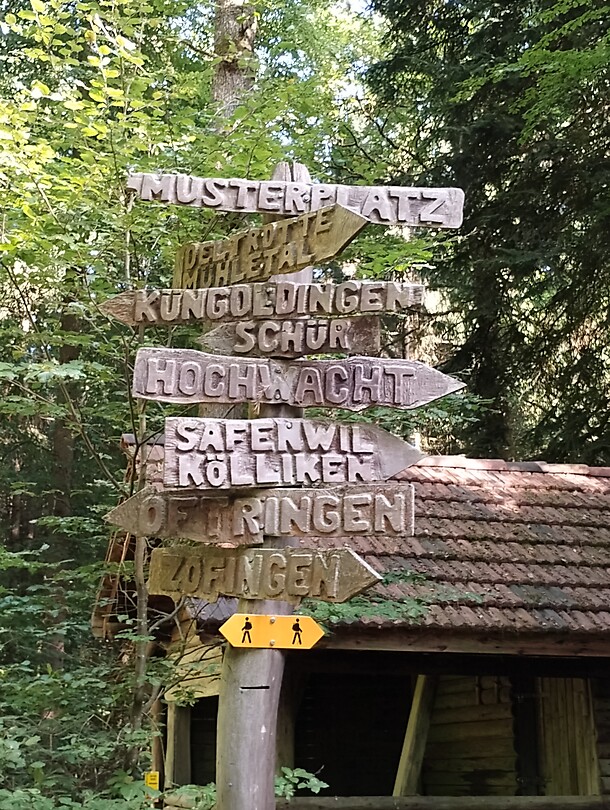1000066925