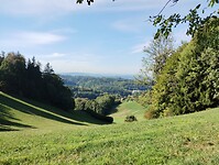 1000066934