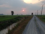 Rijstvelden, 6 uur 's ochtends