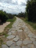 Via Cassia