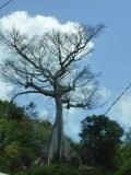 P1000286