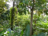 P1000393