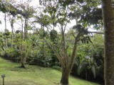P1000378