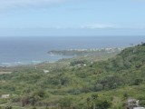 P1000361