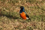 DSC02144-550