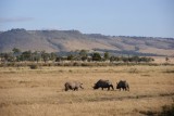 DSC02286-550