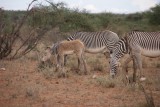 DSC02764-550