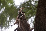 DSC02865-550