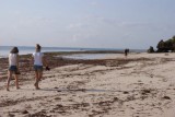 DSC03047-550