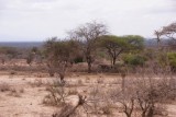 DSC03398-550
