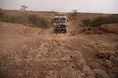 DSC01711