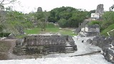Uitzicht over het 'Gran Plaza' in Tikal met Howler Monkeys als achtergrondmuziek