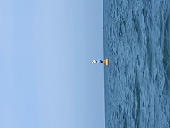 Kunst op zee