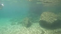 Snorkelen