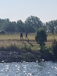 Uitgezwaaid in de Kil door Dies en Truus