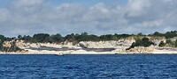 Rødvig