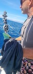 Mahi mahi
