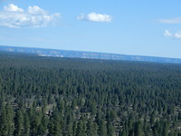 12742F41-7992-474D-9312-20E11936304B