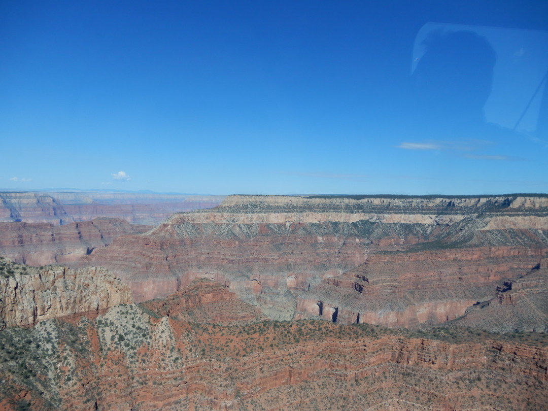 1D4EA774-D09F-4E13-901A-716A571C858B