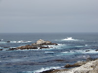 410AC91E-AC2F-4B69-B219-5E9356F06BC3