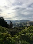 Signal Hill