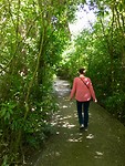 Op weg naar Larnach Castle