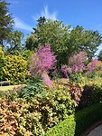 Tuin van Larnach Castle