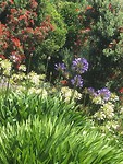 Kasteeltuin