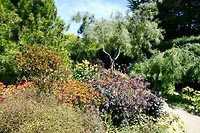 bloemenpracht