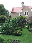 tuin
