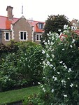 Nog meer tuin