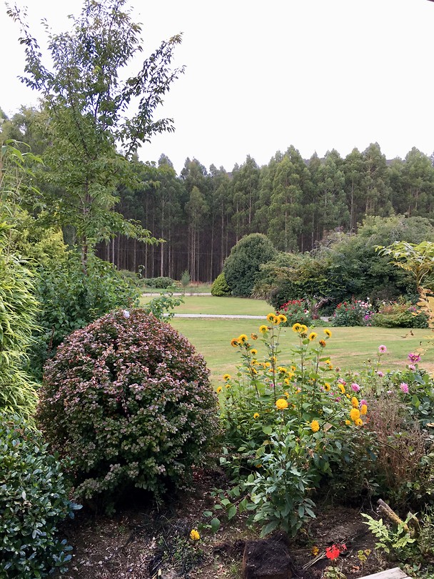 Uitzicht vanuit onze kamer in The Catlins