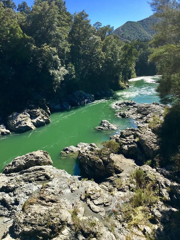 De smaragdgroene rivier bij Pelorus Bridge